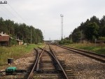станция Яшюнай: Вид на станцию с северной горловины