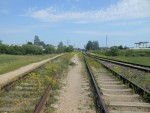 станция Орша-Северная: Вид в сторону Орши-Северной