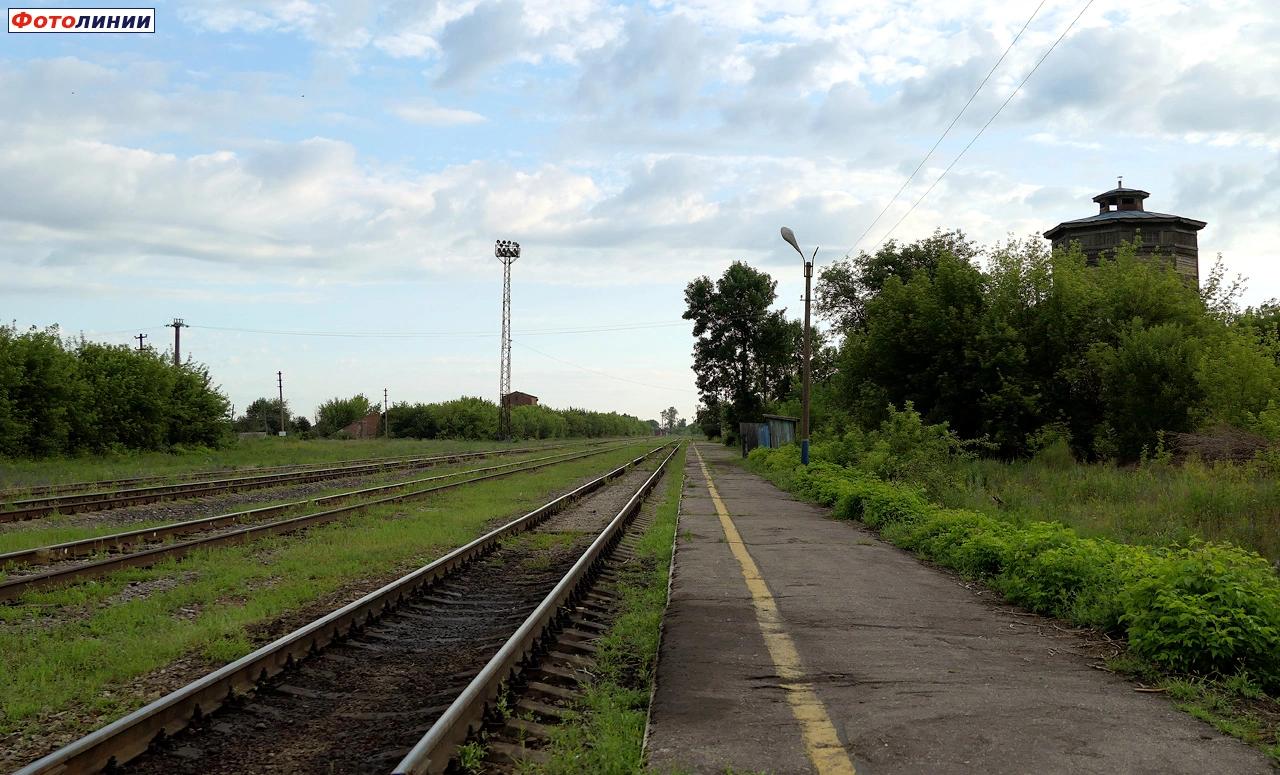Вид с платформы в сторону Кустарёвки