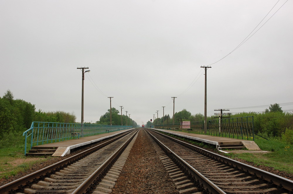 Вид платформ в сторону Бобруйска