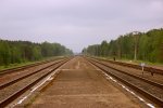 станция Савичи: Вид в сторону Бобруйска