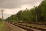 станция Осиповичи III: Горловина станции в сторону Бобруйска