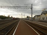 станция Бобруйск: Вид в сторону Осиповичей
