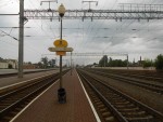 станция Бобруйск: Вид в сторону Жлобина