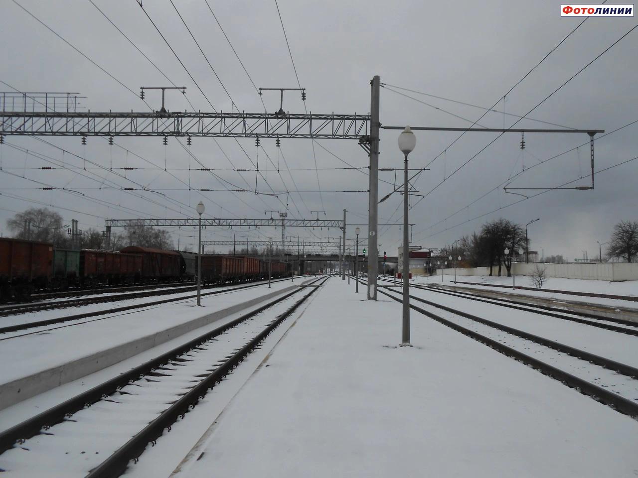 Вид с 3-й платформы в сторону Осиповичей и Рабкора