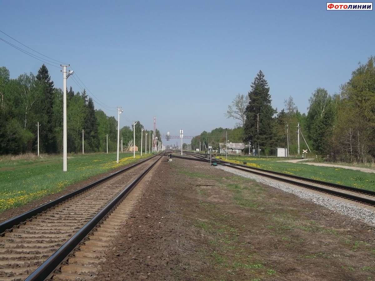 Вид на станцию с юго-восточной горловины