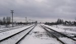 о.п. Вирский: Вид станции со стороны Гомеля