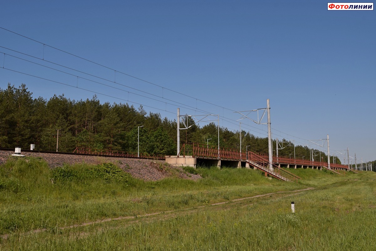 Платформа Жлобинского направления. Вид со стороны дачного поселка