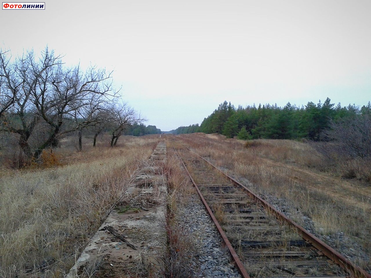 Пассажирская платформа, вид в сторону границы с Украиной