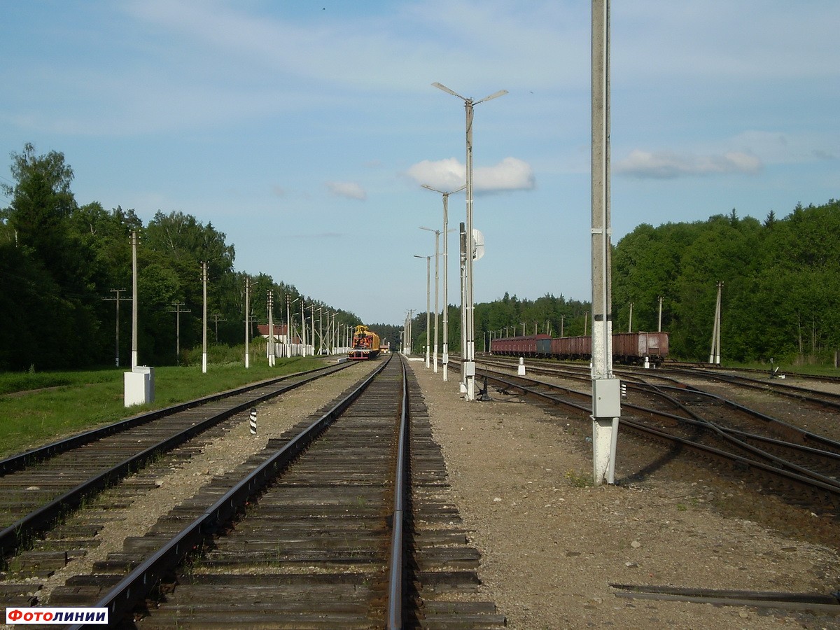 Пути станции; справа пути колеи 1435 мм