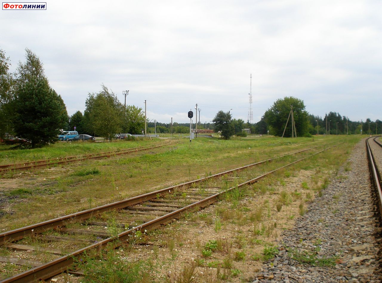 Линия слева - участок бывшей линии на Алитус