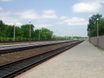 станция Тереховка: Пути и платформы. Вид в сторону Гомеля