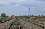 станция Новобелицкая: Вид в сторону Гомеля