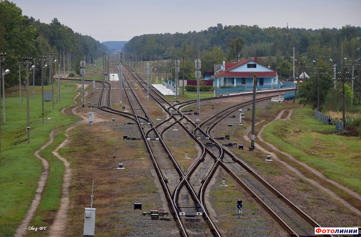 Вид на станцию со стороны Новобелицкой