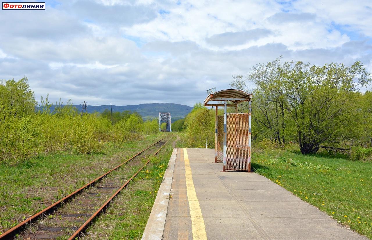 Вид с платформы в сторону Быкова