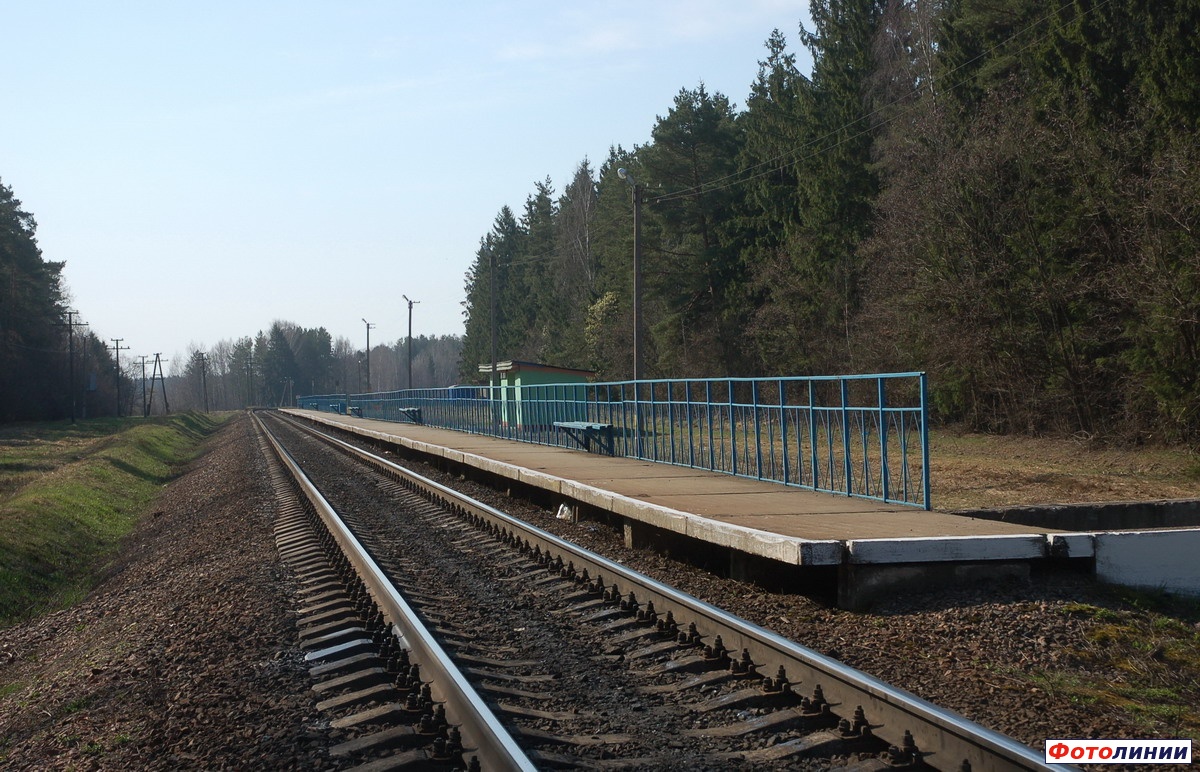 Вид платформы в сторону Жлобина