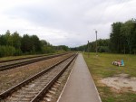 станция Старосельский: Вид в сторону Могилева