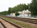 станция Старосельский: Общий вид