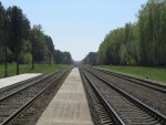станция Чернозёмовка: Вид в сторону Жлобина