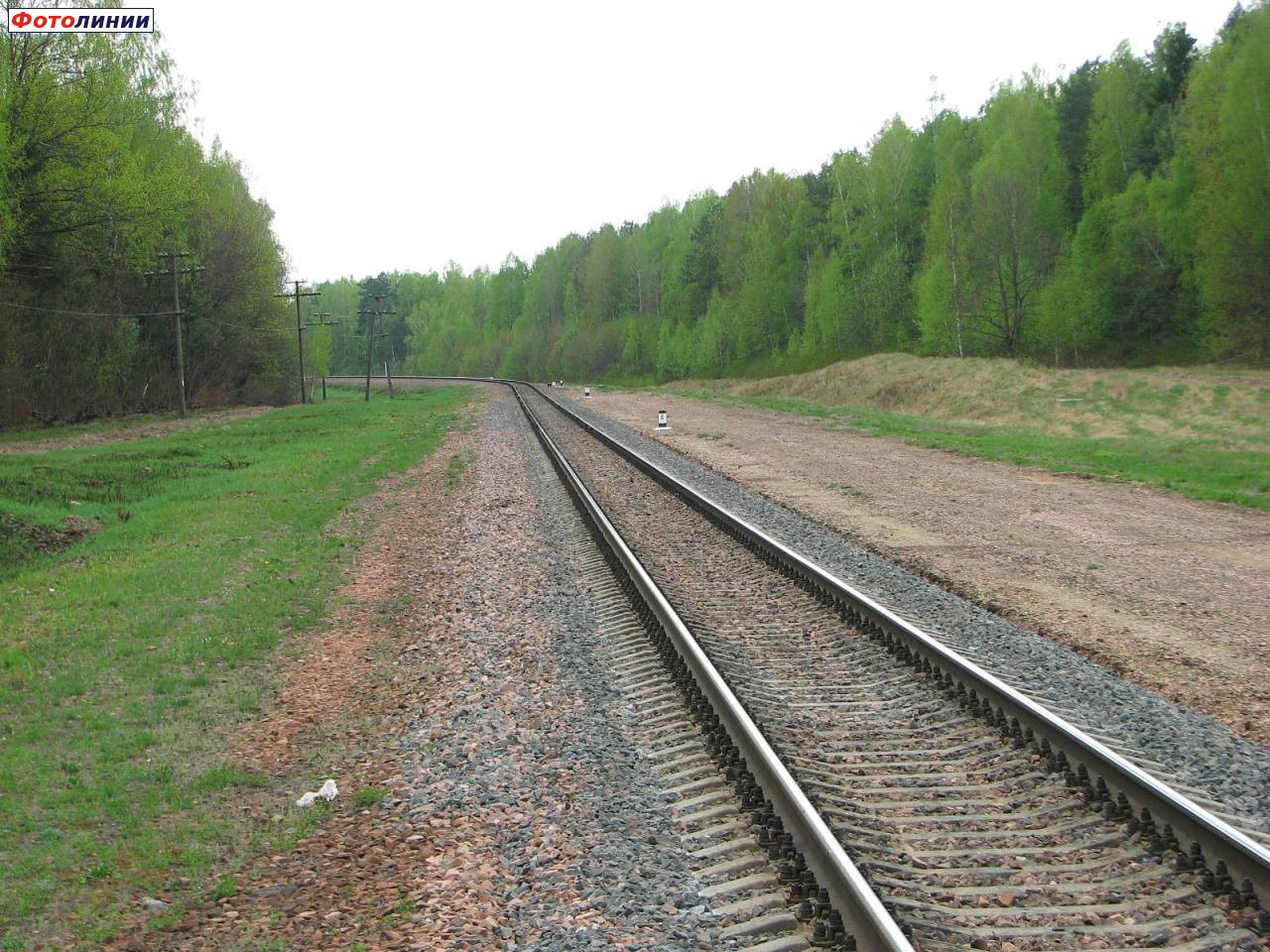 Вид бывшей станции (в сторону Жлобина)