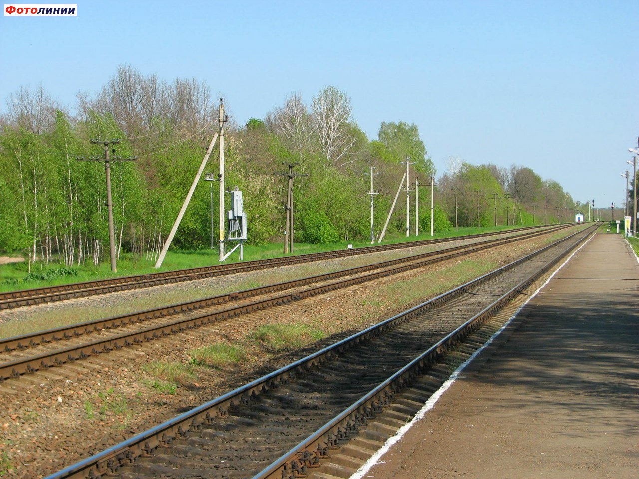 Пути и платформа (вид в сторону Могилёва)