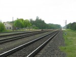 станция Сверково: Вид в сторону Жлобина