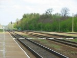станция Сверково: Вид в сторону Могилёва