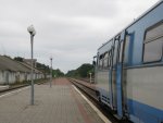 станция Семёновка: Вид в направлении о.п. Карповичи (разобранная линия на Климово)