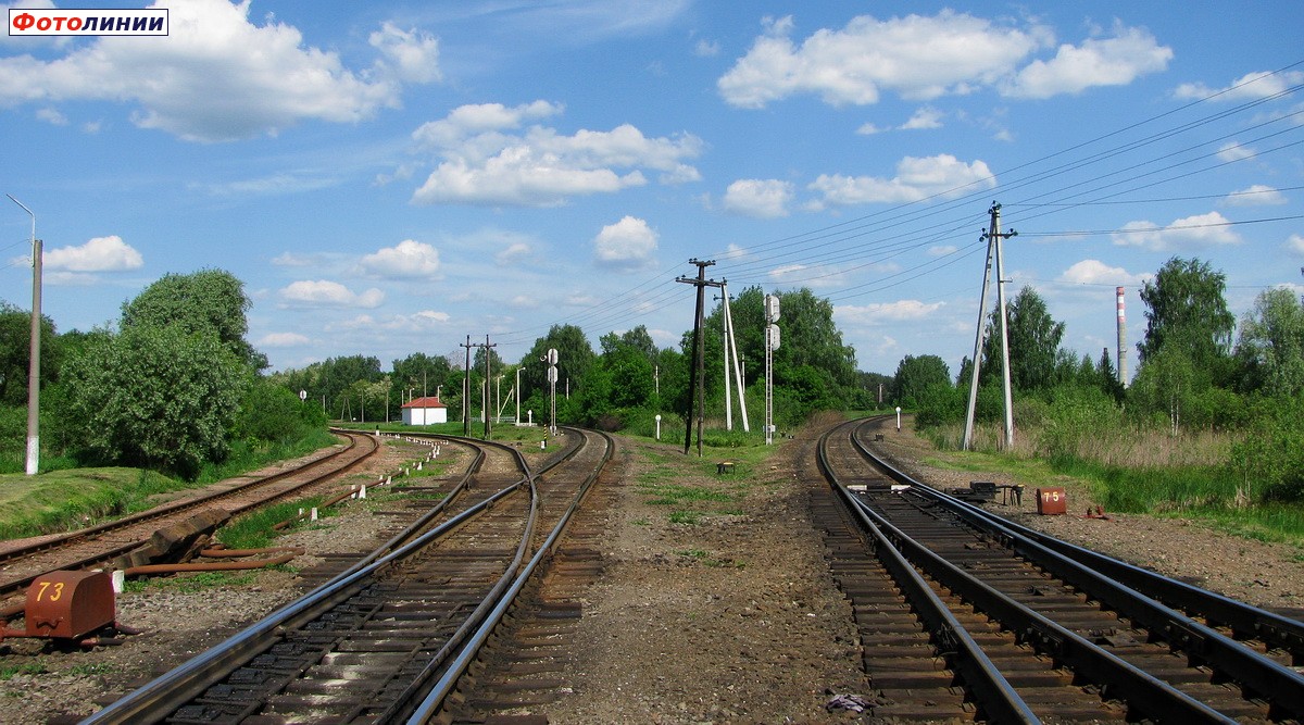 Путь налево в сторону Жлобина, направо в сторону Гомеля, вид со стороны Подольского парка