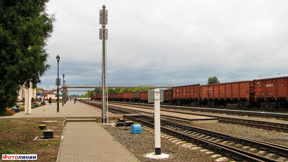 Платформы, вид со стороны Василевич