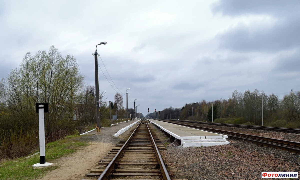 Платформы, вид с 4-ого пути в сторону Калинкович