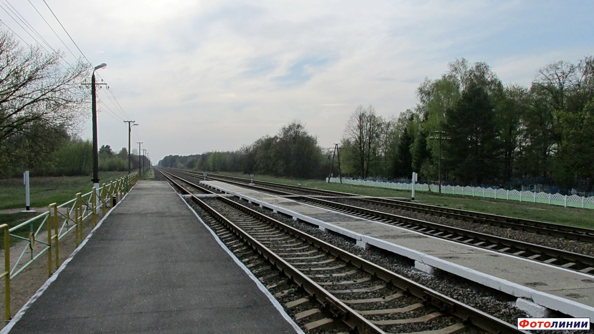 Вид с платформы в сторону Калинковичей