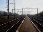 станция Наркевичи: Вид с пассажирской платформы в сторону Чёрного Острова
