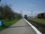 станция Суховолье: Пассажирская платформа, вид в сторону Лепесовки
