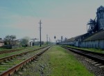станция Суховолье: Нечётная горловина, вид в сторону Жизниковцев