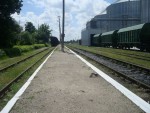станция Лепесовка: Пассажирская платформа, вид в сторону Лановцов