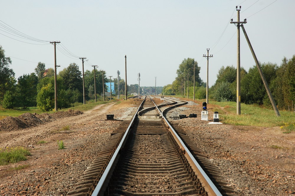 Горловина станции в сторону Калинкович