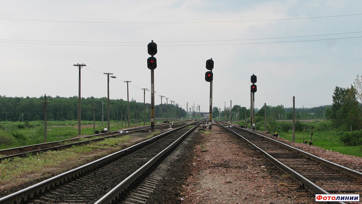 Четные маршрутные светофоры ЧМ3Л, ЧМ1Л, ЧМ2Л, вид в сторону Калинковичей