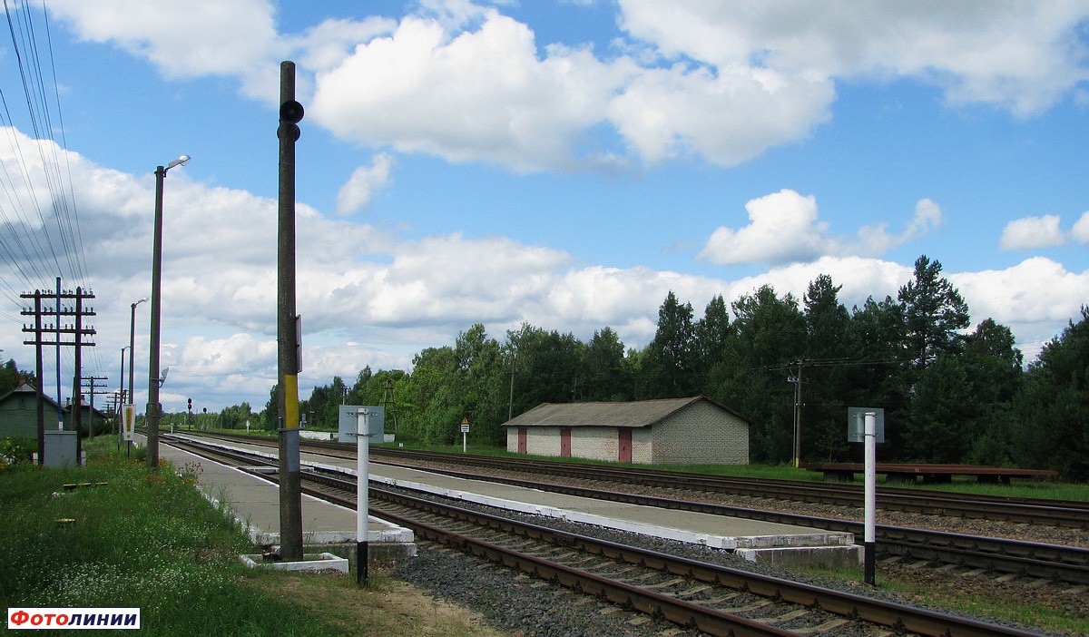 Платформы, вид со стороны Калинковичей