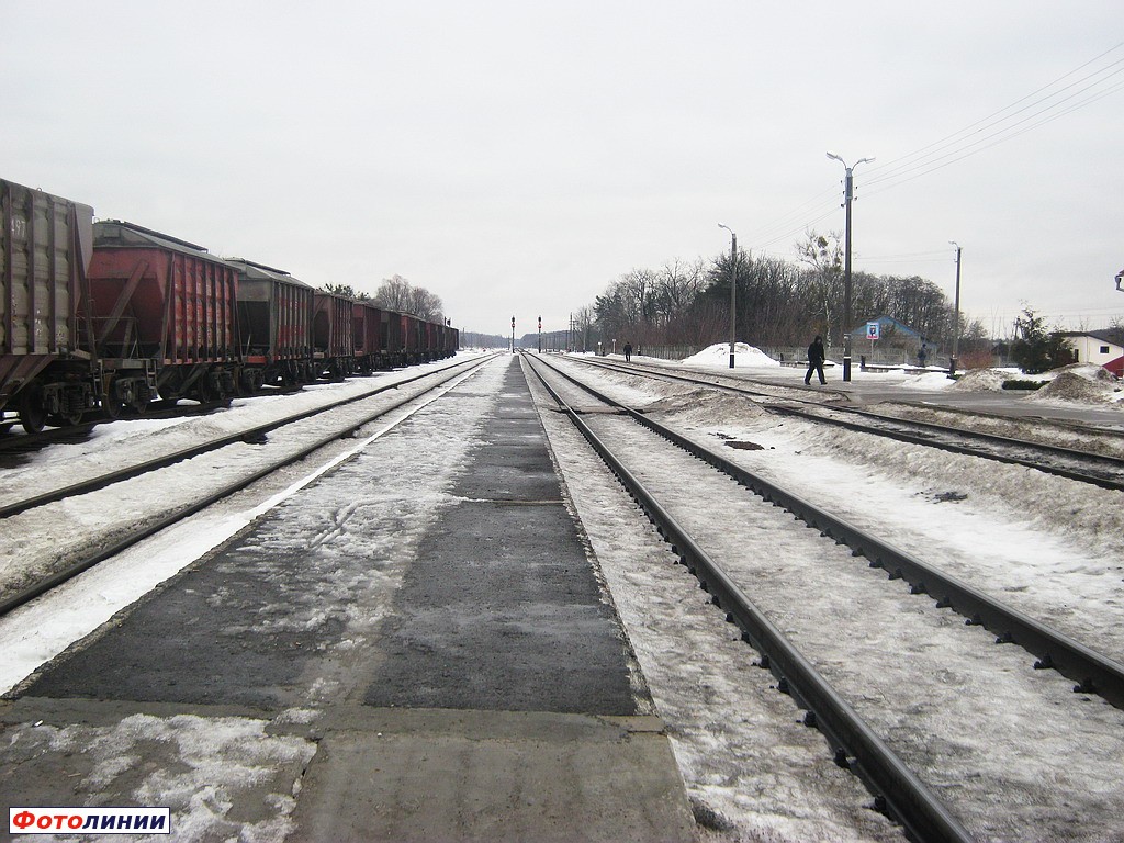 Вид с платформы в сторону Житкович