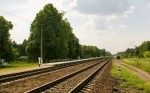 разъезд Старушки: Вид станции в сторону Житковичей