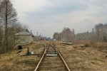 о.п. Грезля: Горловина станции со стороны Чернигова