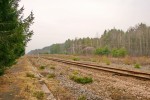 о.п. Жерев: Вид в сторону Белокоровичей с платформы бывшей станции