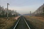 о.п. Садовая (222 км): Вид в сторону Коростеня