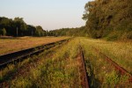 о.п. Черкассы-Волынские: Вид бывшей станции в сторону Ковеля