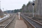 станция Боровое: Вид в сторону Крулевщизны