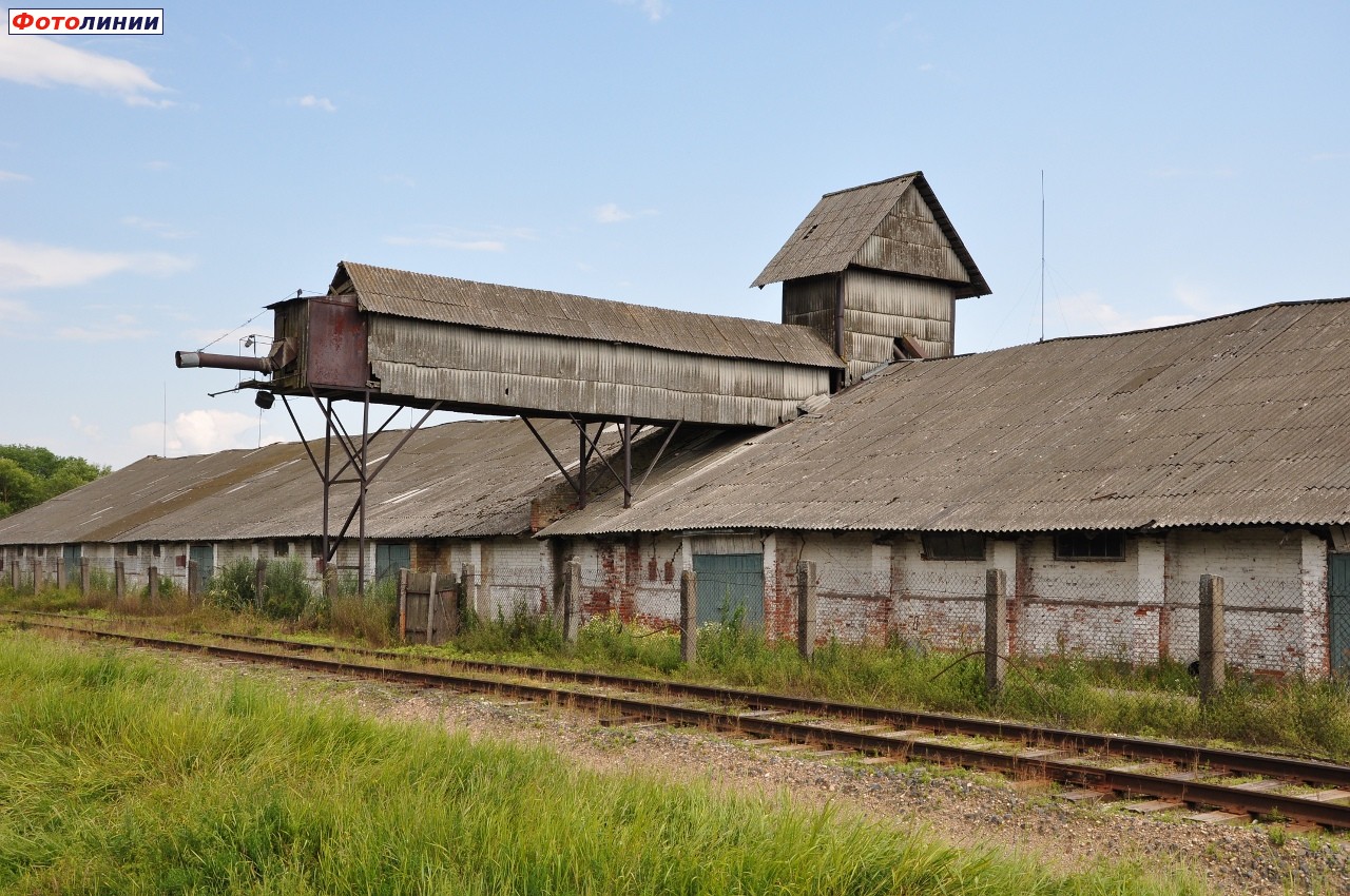 Пункт погрузки зерна