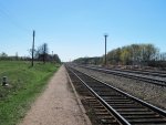 станция Рейтанов: Вид всторону Лунинца с платформы барановичского направления