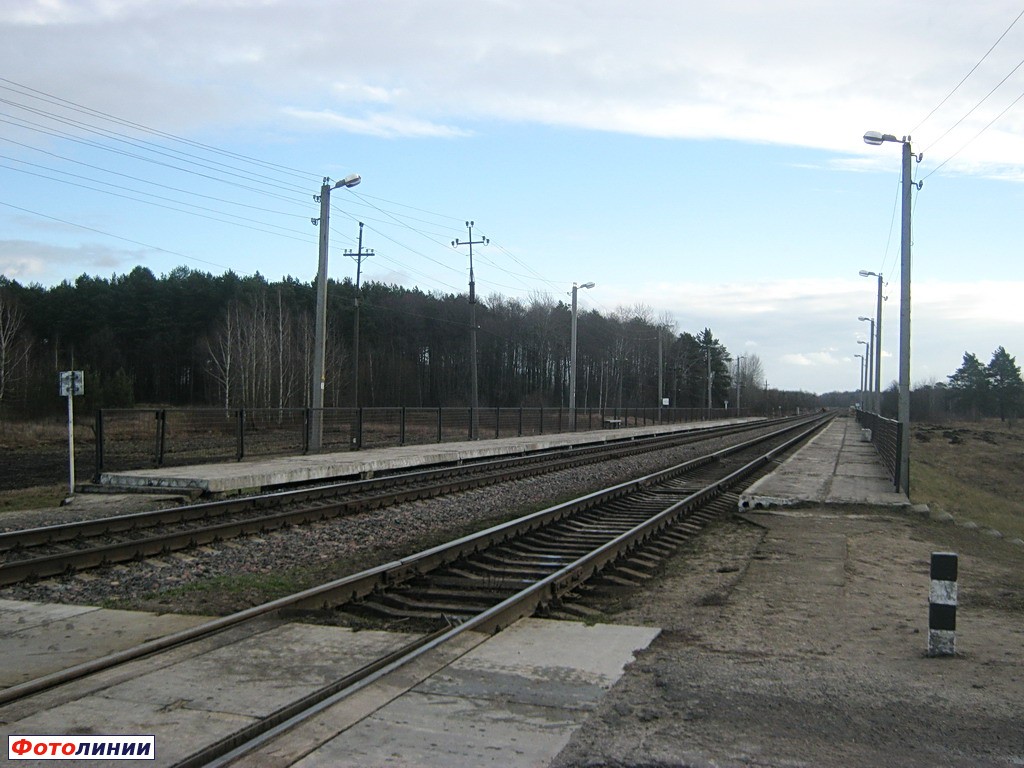 Платформы и пути. Вид в сторону Лунинца