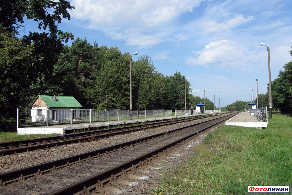 Платформы и пути. Вид в сторону Баранович